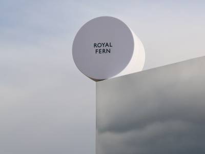 Royal Fern by Dr Timm Golüeke