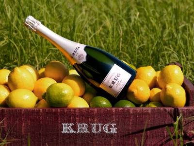 Lemony Magic with Krug & Cycene