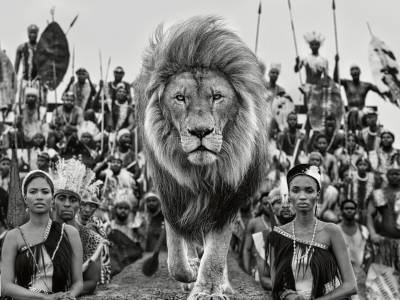 David Yarrow Photographer - Catwalk