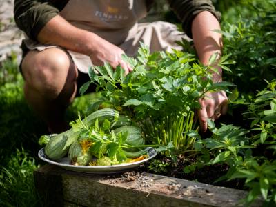 Seasonal Farm Feasts at Pennard Hill Farm 