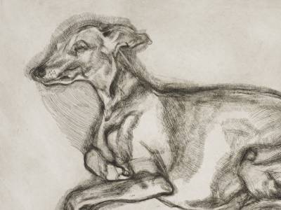 Lucian Freud Etchings V&A - Pluto aged twelve