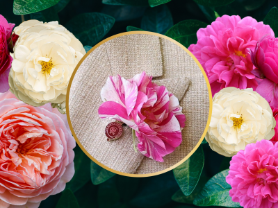 Royal Rose Varieties