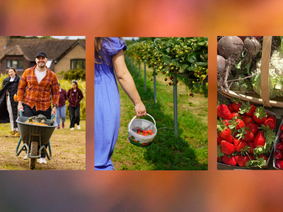 Pick your own farm