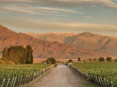 Zuccardi Finca Piedra Infinita, Mendoza.