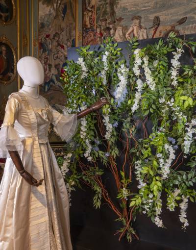 Bridgerton Ballgowns at Blenheim Palace - Ballgown and vines