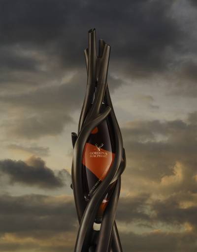 The Decanter #1 whisky by Gordon & MacPhail's and part of Christie's Auction.