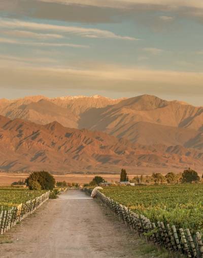 Zuccardi Finca Piedra Infinita, Mendoza.