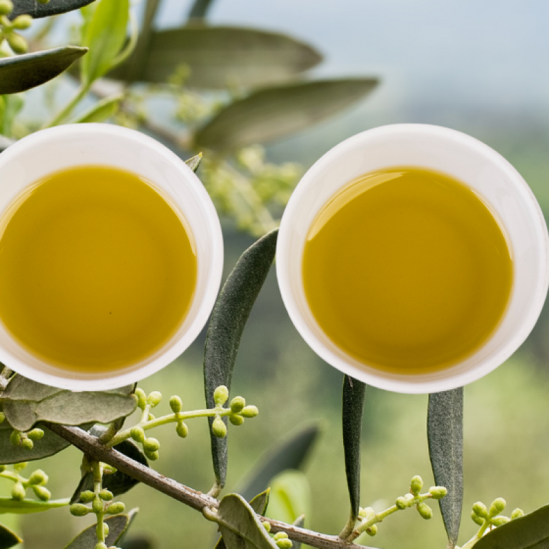 Olive oil and an olive grove.
