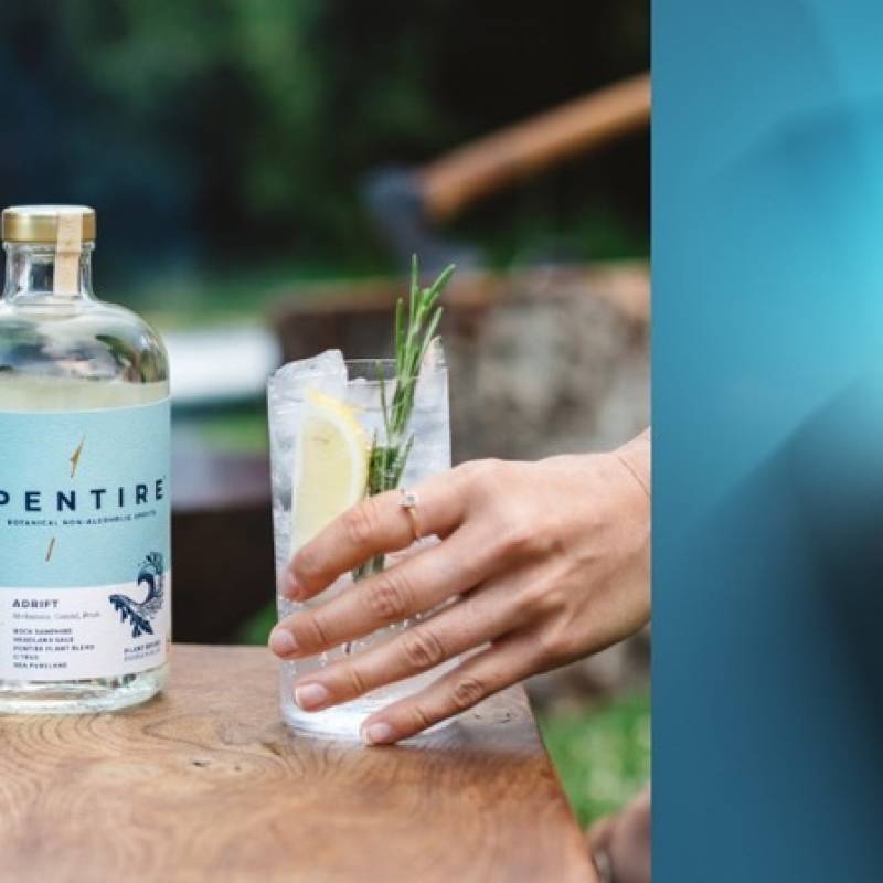 Best Non Alcoholic Drinks for the Summer 