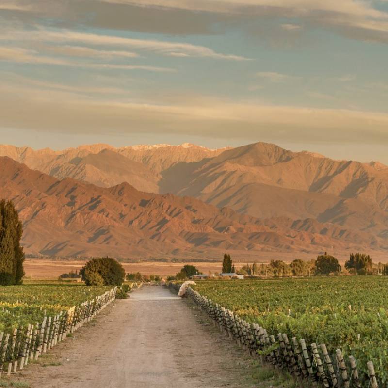 Zuccardi Finca Piedra Infinita, Mendoza.