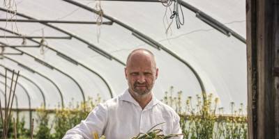 Simon Rogan Garden - Simon Rogan