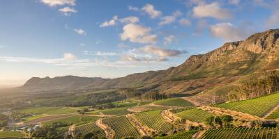 The Klein Constantia Estate, South African vineyards