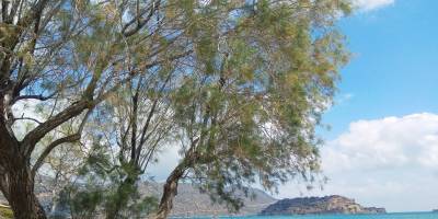 Domes of Elounda, Crete