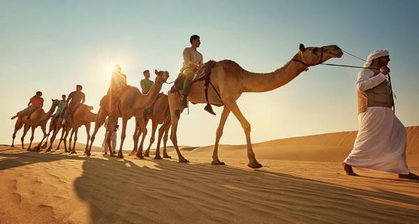 Camel_Ride_Euro_friends