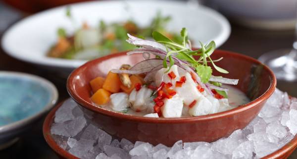 Coya-Food.1.5.1416070