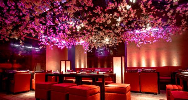 Cherry Blossom Installation In NYC — Zuma Restaurant Cherry Blossoms