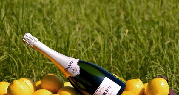 Lemony Magic with Krug & Cycene