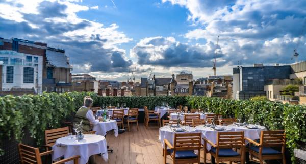 Sparrow Rooftop