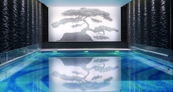 London Wellness Clubs No Membership