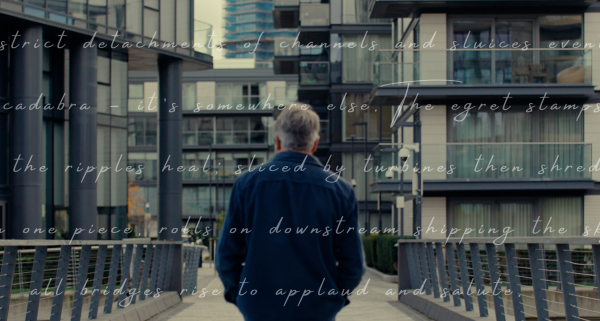Simon Armitage Poem - Simon Armitage on the Chelsea Waterfront Bridge