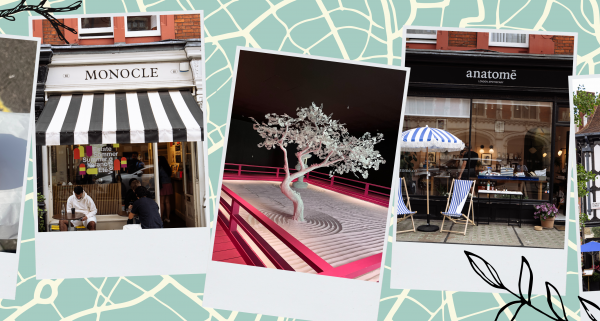 Luxury 24 Hours in Marylebone