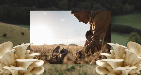 Nicholas Balfe of HOLM foraging for ingredients