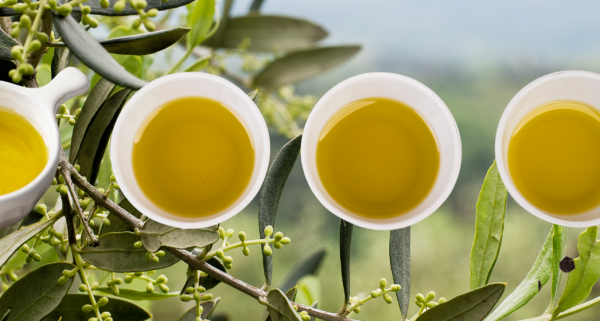 Olive oil and an olive grove.