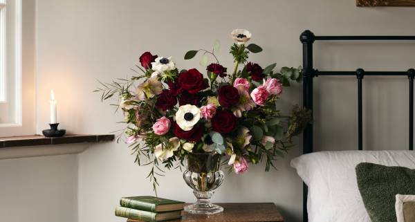 Valentine's Day Flowers