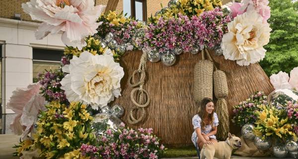 what to do in London