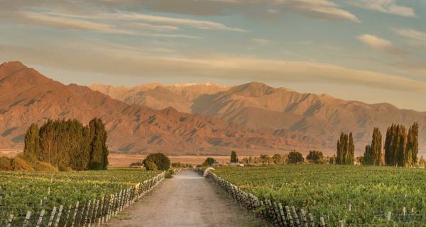 Zuccardi Finca Piedra Infinita, Mendoza.